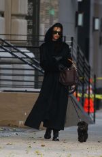 IRINA SHAYK Out with Her Dog in New York City 12/05/2024