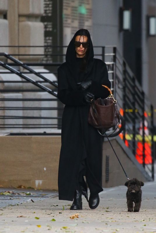 IRINA SHAYK Out with Her Dog in New York City 12/05/2024