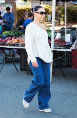 JENNA JOHNSON Out Shopping at Studio City Farmers Market 12/01/2024