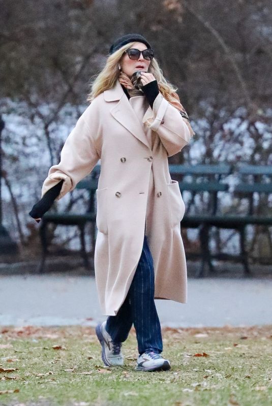 JENNIFER WESTFELDT Out at Central Park in New York City 12/20/2024