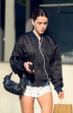 KIERNAN SHIPKA Out Shopping in Los Angeles 12/06/2024