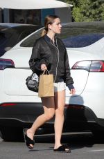 KIERNAN SHIPKA Out Shopping in Los Angeles 12/06/2024
