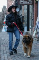 KYLE RICHARDS Out with Her Dog in Aspen 12/21/2024