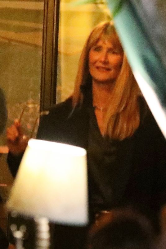LAURA DERN Leaves San Vicente Bungalows in West Hollywood 12/06/2024