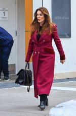 LISA VANDERPUMP Out and About in Beverly Hills 12/24/2024
