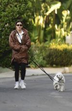 LUCY HALE Out with Her Dog in Los Angeles on Christmas Eve 12/24/2024