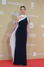MARIA VALERO at 30th Jose Maria Forque Awards in Madrid 12/14/2024