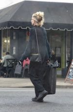 MELANIE GRIFFITH Out for Christmas Shopping at Sacred in Los Angeles 12/24/2024
