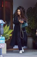 MILA KUNIS Leaves a Restaurant in West Hollywood 12/12/2024