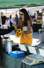 NATASHA and Martin BLASICK Out Shopping at Studio City Farmers Market 12/01/2024