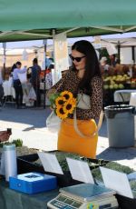 NATASHA and Martin BLASICK Out Shopping at Studio City Farmers Market 12/01/2024