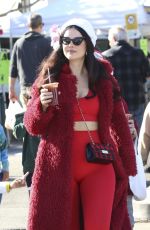NATSAHA BLASICK Out at Farmers Market in Los Angeles 12/15/2024