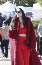 NATSAHA BLASICK Out at Farmers Market in Los Angeles 12/15/2024