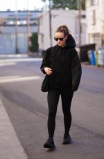 OLIVIA WILDE Leaves Tracy Anderson Gym in Studio City 12/16/2024