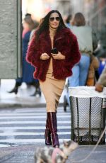 PADMA LAKSHMI Out and About in New York 12/22/2024