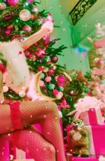PARIS HILTON Merry Christmas Photoshoot 12/24/2024