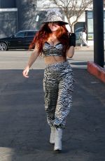 PHOEBE PRICE Out Posing in a Zebra Print Outfit in Los Angeles 12/23/2024