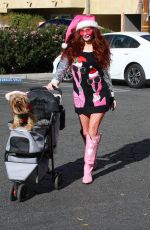 PHOEBE PRICE Shopping at Local Farmers Market in Los Angeles 12/08/2024