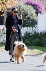 RACHEL LINDSAY Out for a Morning Walk with Her Dogs in Los Angeles 12/16/2024