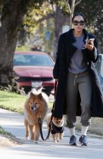 RACHEL LINDSAY Out for a Morning Walk with Her Dogs in Los Angeles 12/16/2024
