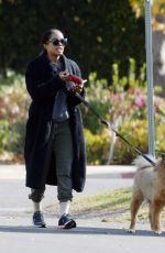 RACHEL LINDSAY Out for a Morning Walk with Her Dogs in Los Angeles 12/16/2024