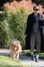 RACHEL LINDSAY Out for a Morning Walk with Her Dogs in Los Angeles 12/16/2024