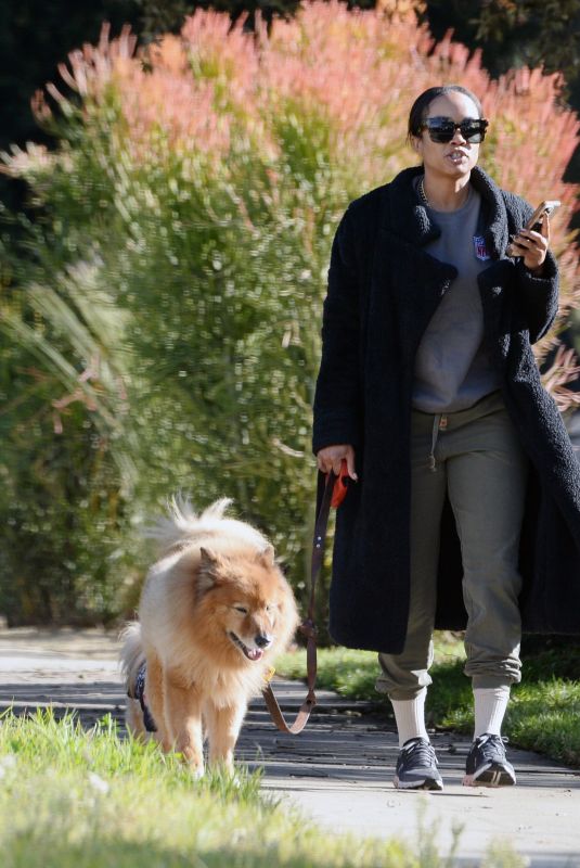 RACHEL LINDSAY Out for a Morning Walk with Her Dogs in Los Angeles 12/16/2024