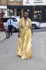 RAKIE OLUFUNMILAYO AYOLA Arrives at Dinner Party Launch of House of Kaos in London 08/28/2024