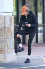 RENEE ZELLWEGER and Ant Anstead Take Their Dog to a Park Before Doing a Grocery Shopping 12/28/2024