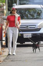 SARAH SILVERMAN and Rory Albanese Out for Morning Dog Walk in Los Angeles 12/18/2024