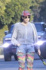 SARAH SILVERMAN and Rory Albanese Out with Their Dogs 12/30/2024