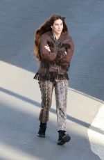 SCOUT WILLIS Out Near Home in Silver Lake 12/17/2024