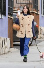 SCOUT WILLIS Out with Her Dog in Los Angeles 11/29/2024