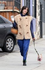 SCOUT WILLIS Out with Her Dog in Los Angeles 11/29/2024