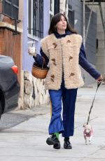 SCOUT WILLIS Out with Her Dog in Los Angeles 11/29/2024