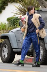 SCOUT WILLIS Out with Her Dog in Los Angeles 11/29/2024