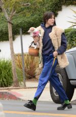 SCOUT WILLIS Out with Her Dog in Los Angeles 11/29/2024