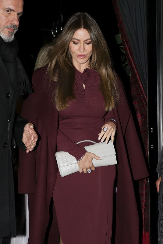 SOFIA VERGARA Leaves a Birthday Dinner in Paris 12/28/2024