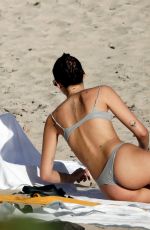 VITTORIA CERETTI in Bikini and Leonardo DiCaprio at a Beach in St. Barts 12/28/2024
