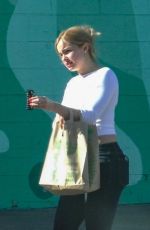 ADDISON RAE Out for Lunch with a Mystery Man in Los Angeles 01/21/2025