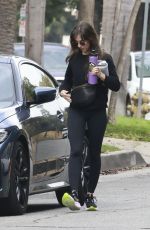 ALISON BRIE Arrives at a Gym in Los Angeles 01/03/2025