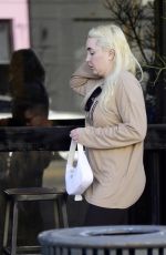 AMANDA BYNES Out with a Friend in Los Angeles 01/12/2025