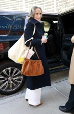 ANDIE MACDOWELL Out and About in New York City 01/21/2025