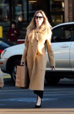 ANGELINA JOLIE Oit for Grocery Shopping with Her Children at Lazy Acres 01/14/2025
