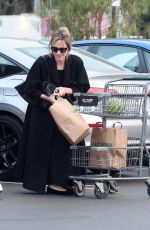 ANGELINA JOLIE Stocks up on Essentials with Her Son Knox in Los Feliz 01/19/2025