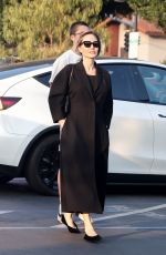 ANGELINA JOLIE Stocks up on Essentials with Her Son Knox in Los Feliz 01/19/2025