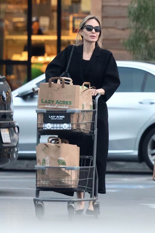 ANGELINA JOLIE Stocks up on Essentials with Her Son Knox in Los Feliz 01/19/2025