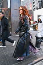 ANNA CATHCART Out and About in New York City 01/24/2025