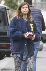 ELISABETTA CANALIS Out for Grocery Shopping at Bristol Farms 01/25/2025