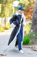 ELSA HOSK Out and About in Los Angeles 01/07/2025